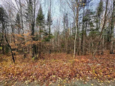 Washburn Road Columbia NH 03576