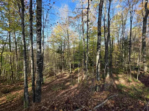 Washburn Road Columbia NH 03576