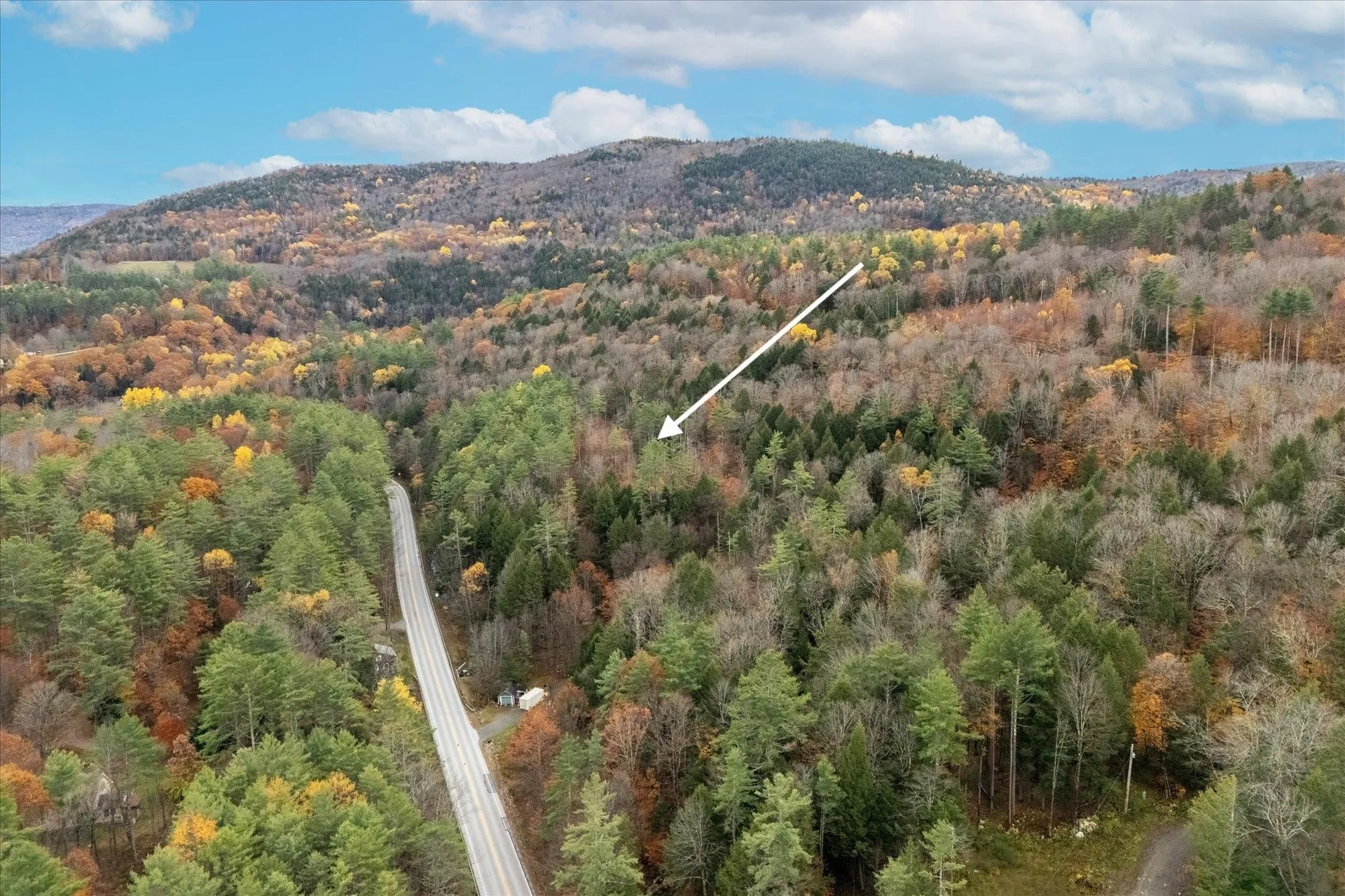 4441 Route 30 Jamaica VT 05343