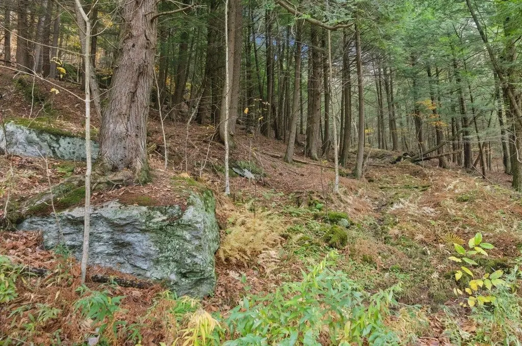 3121 Hogback Road Johnson VT 05656