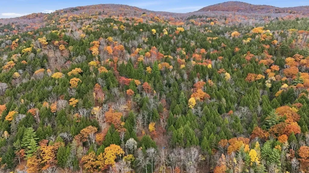 3121 Hogback Road Johnson VT 05656