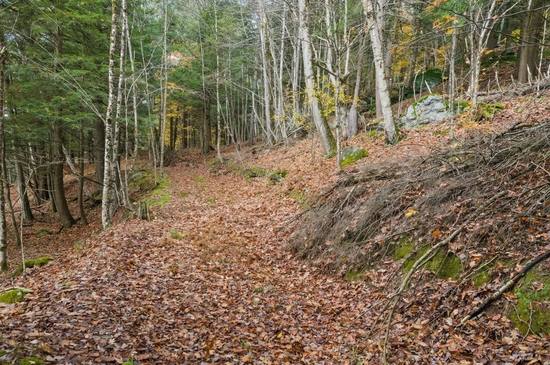 3121 Hogback Road Johnson VT 05656