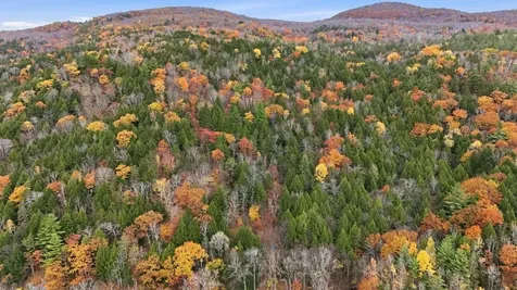 3121 Hogback Road Johnson VT 05656