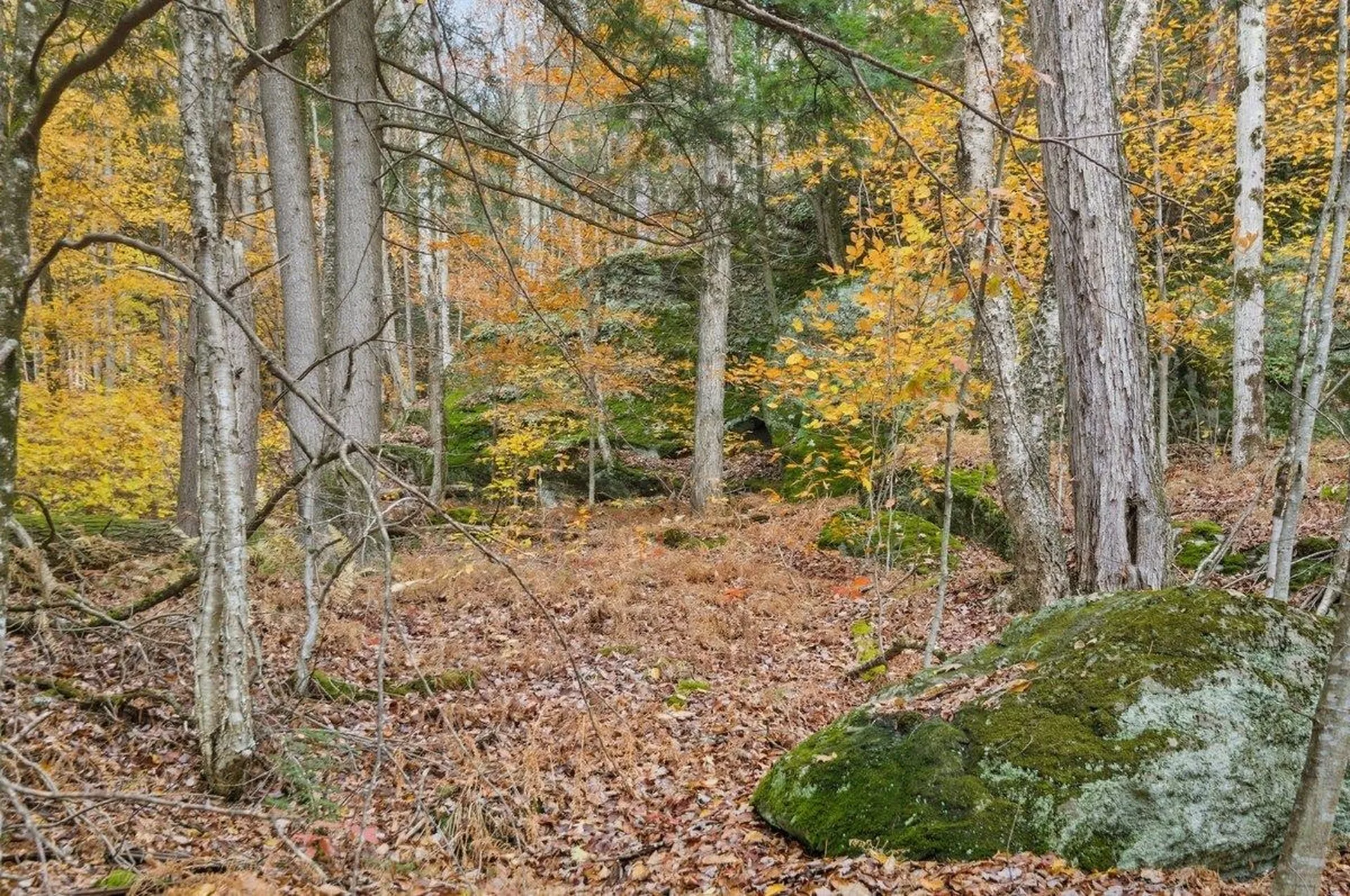 3121 Hogback Road Johnson VT 05656