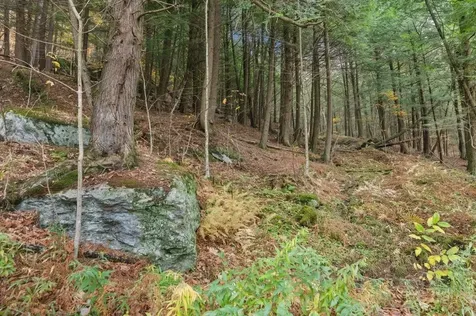 3121 Hogback Road Johnson VT 05656