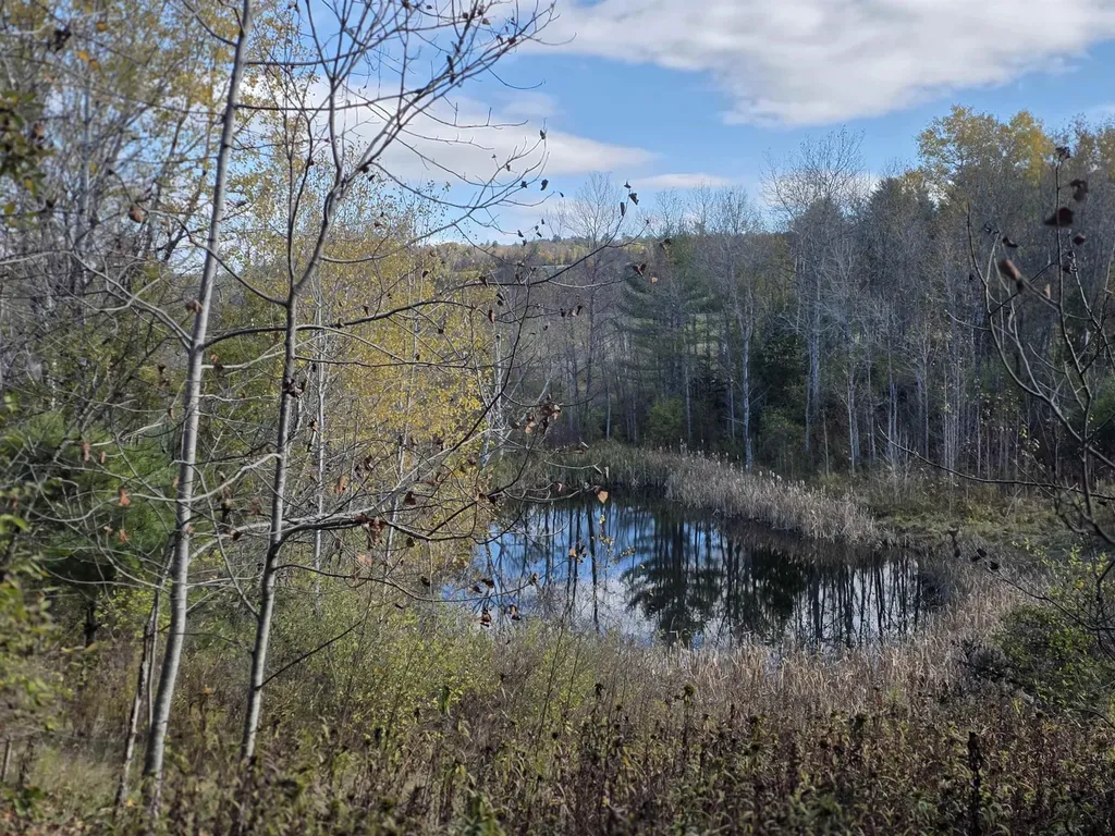 000 Us Route 2 St. Johnsbury VT 05819