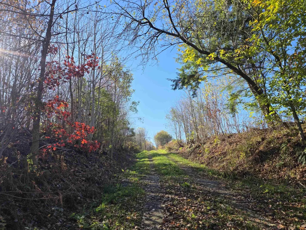 000 Us Route 2 St. Johnsbury VT 05819