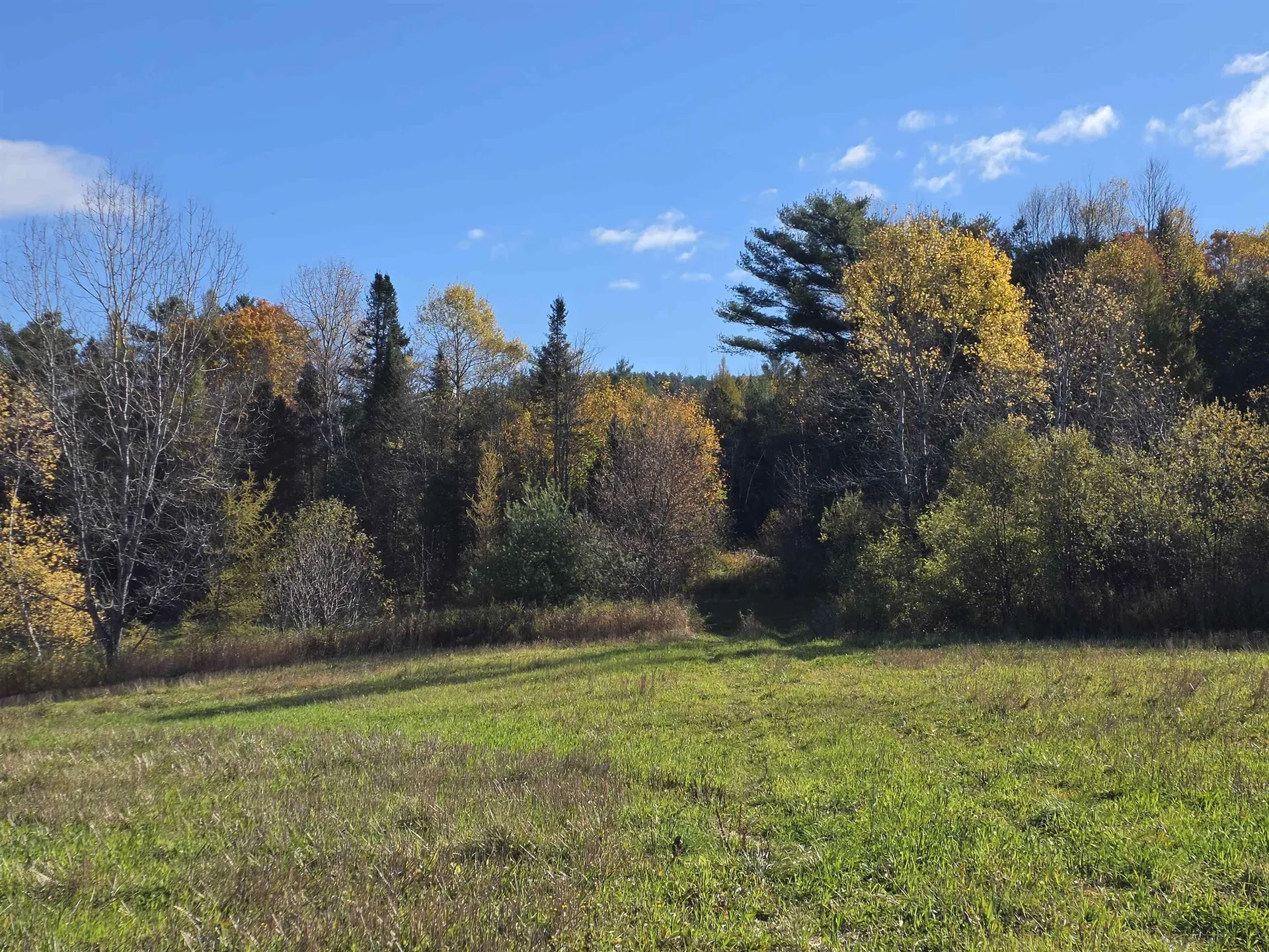 000 Us Route 2 St. Johnsbury VT 05819