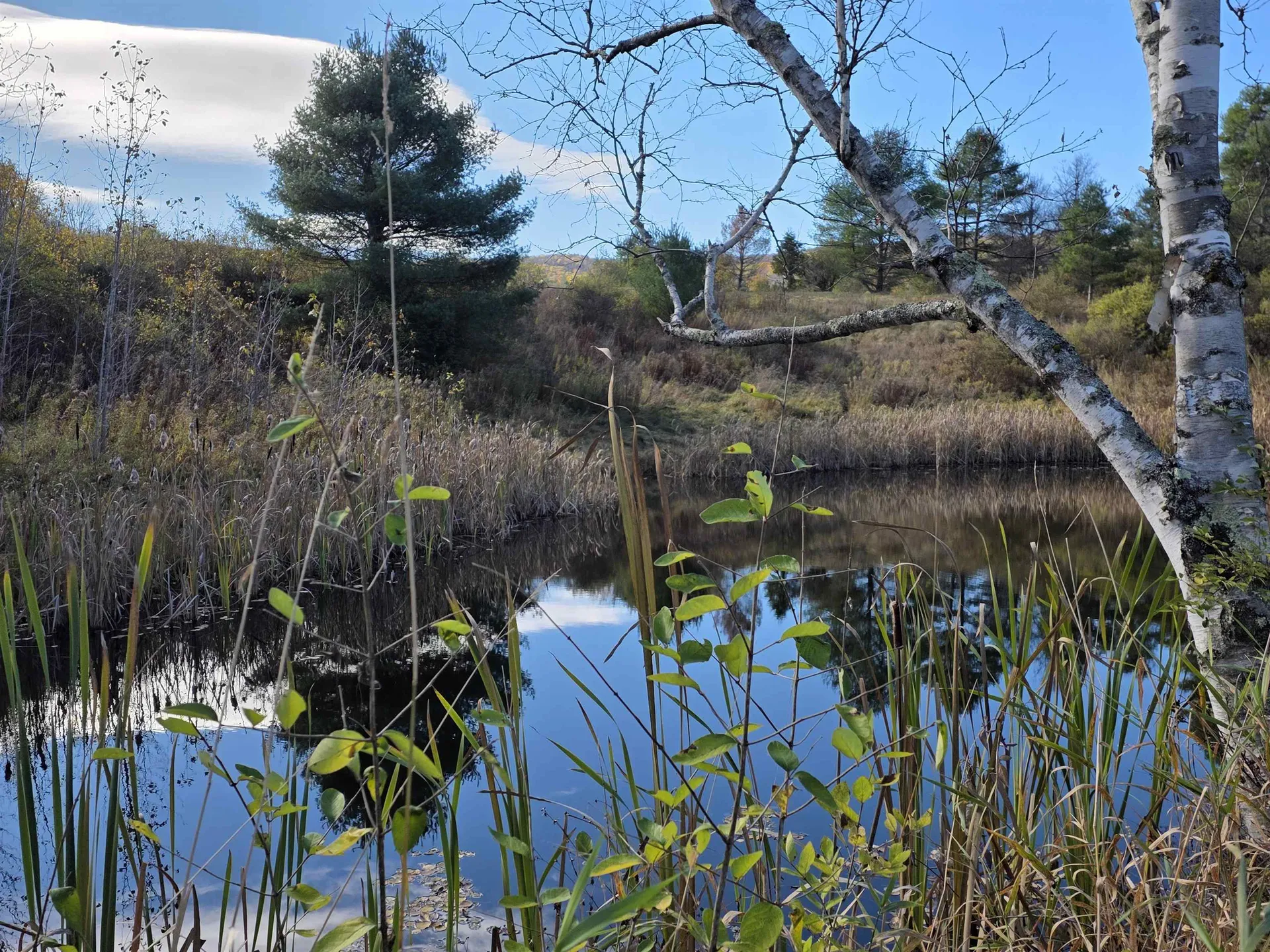 000 Us Route 2 St. Johnsbury VT 05819