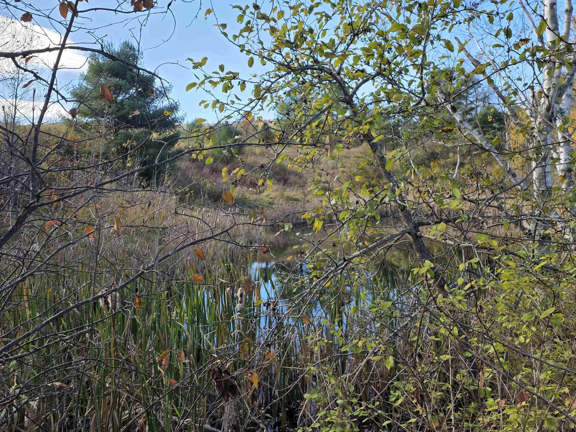 000 Us Route 2 St. Johnsbury VT 05819