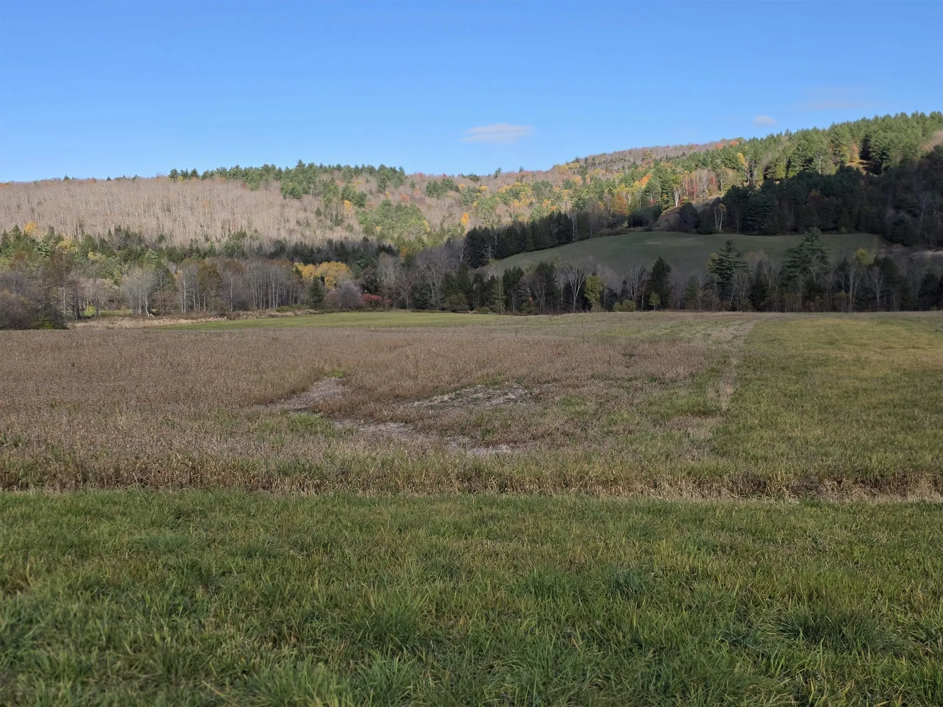 000 Us Route 2 St. Johnsbury VT 05819