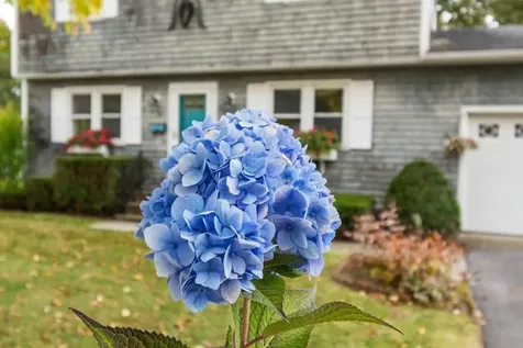 15 Blondin Circle Burlington VT 05408