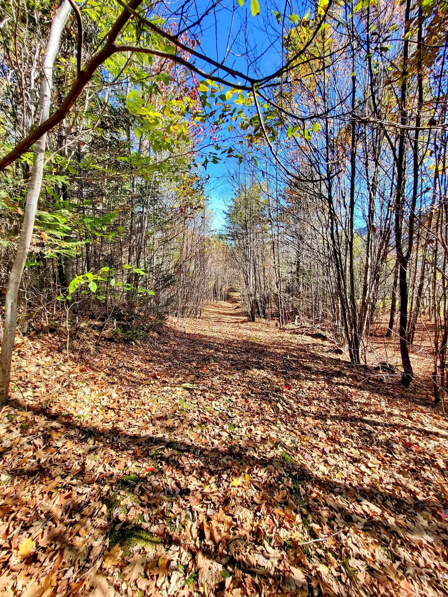 00 Ruskin Road Easton NH 03580