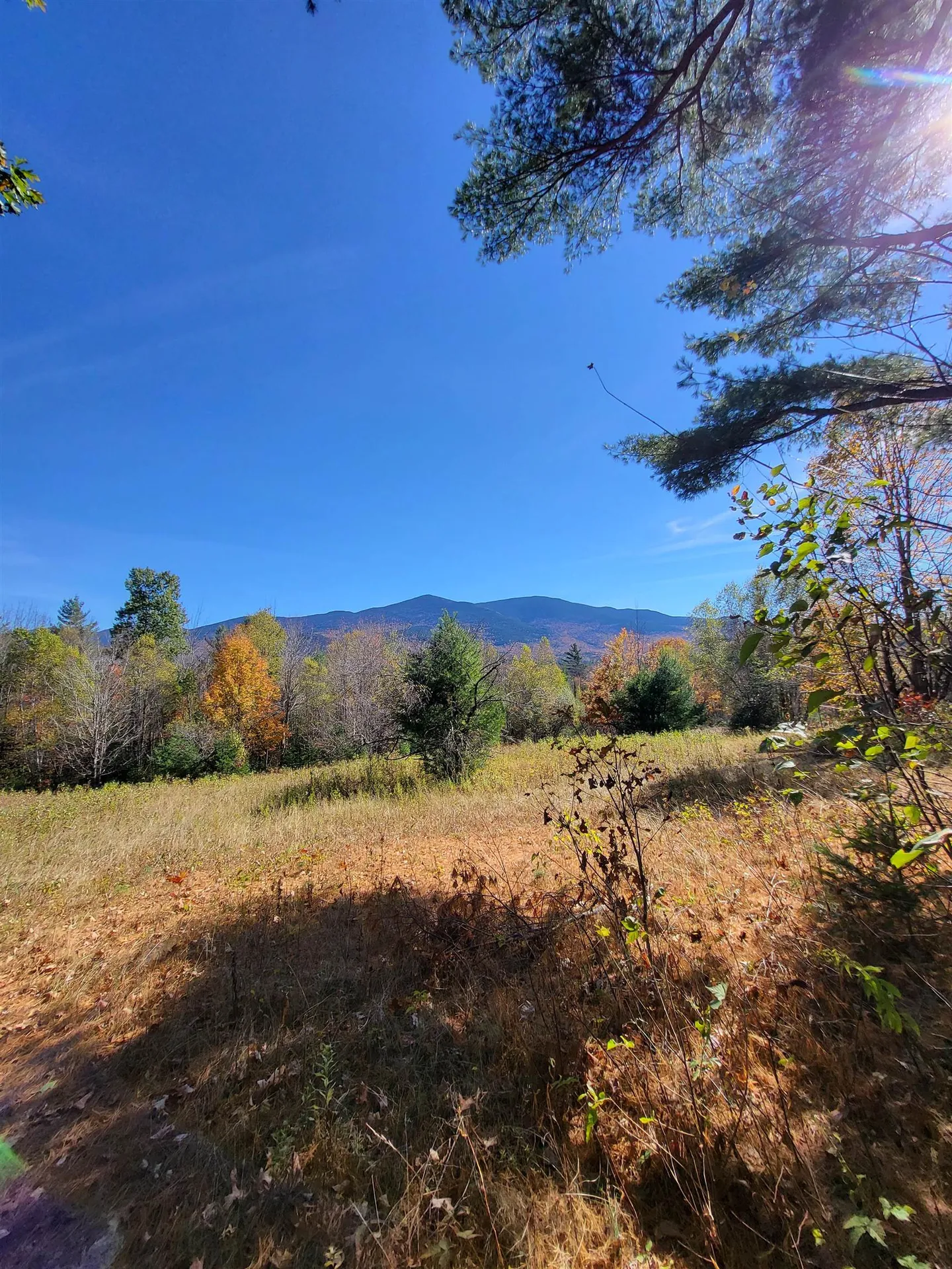 00 Ruskin Road Easton NH 03580