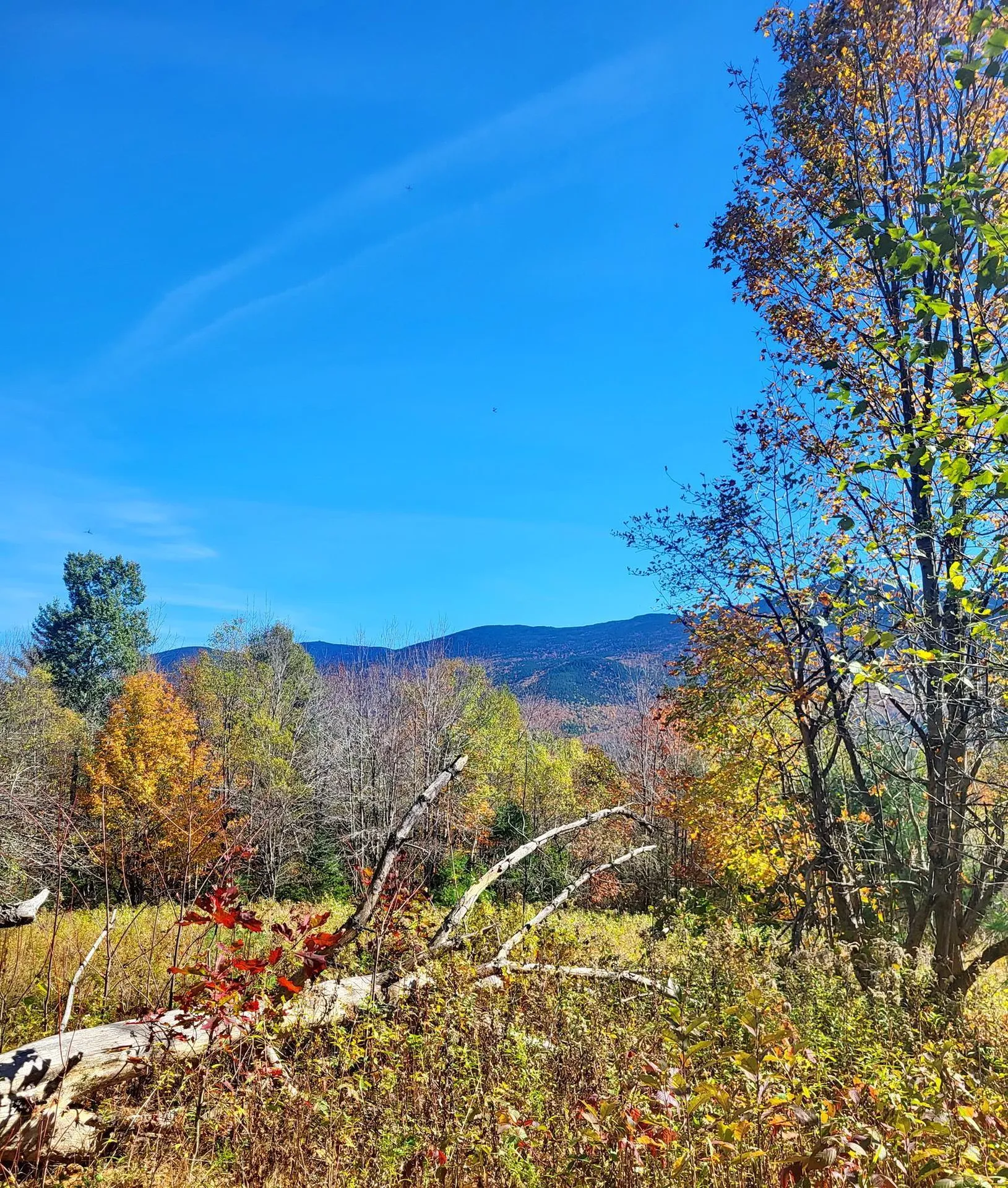 00 Ruskin Road Easton NH 03580