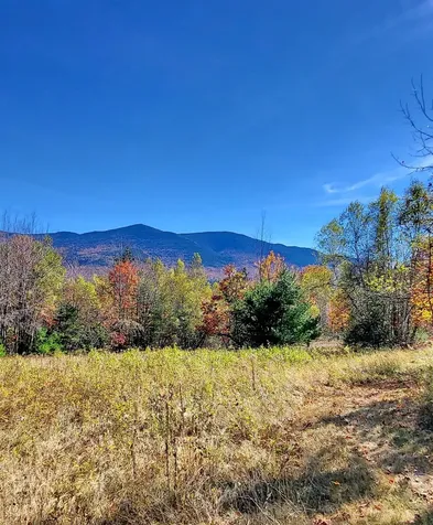 00 Ruskin Road Easton NH 03580