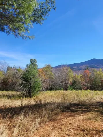 00 Ruskin Road Easton NH 03580