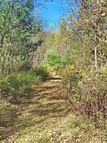 00 Ruskin Road Easton NH 03580