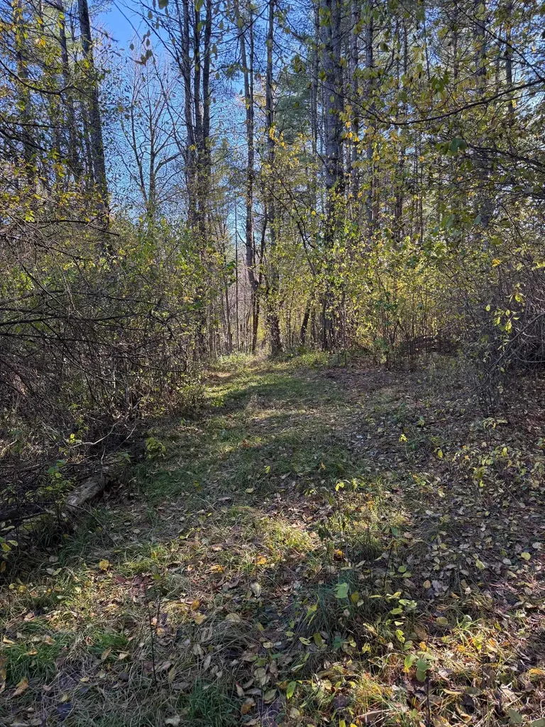 125 Hillside Avenue St. Johnsbury VT 05819