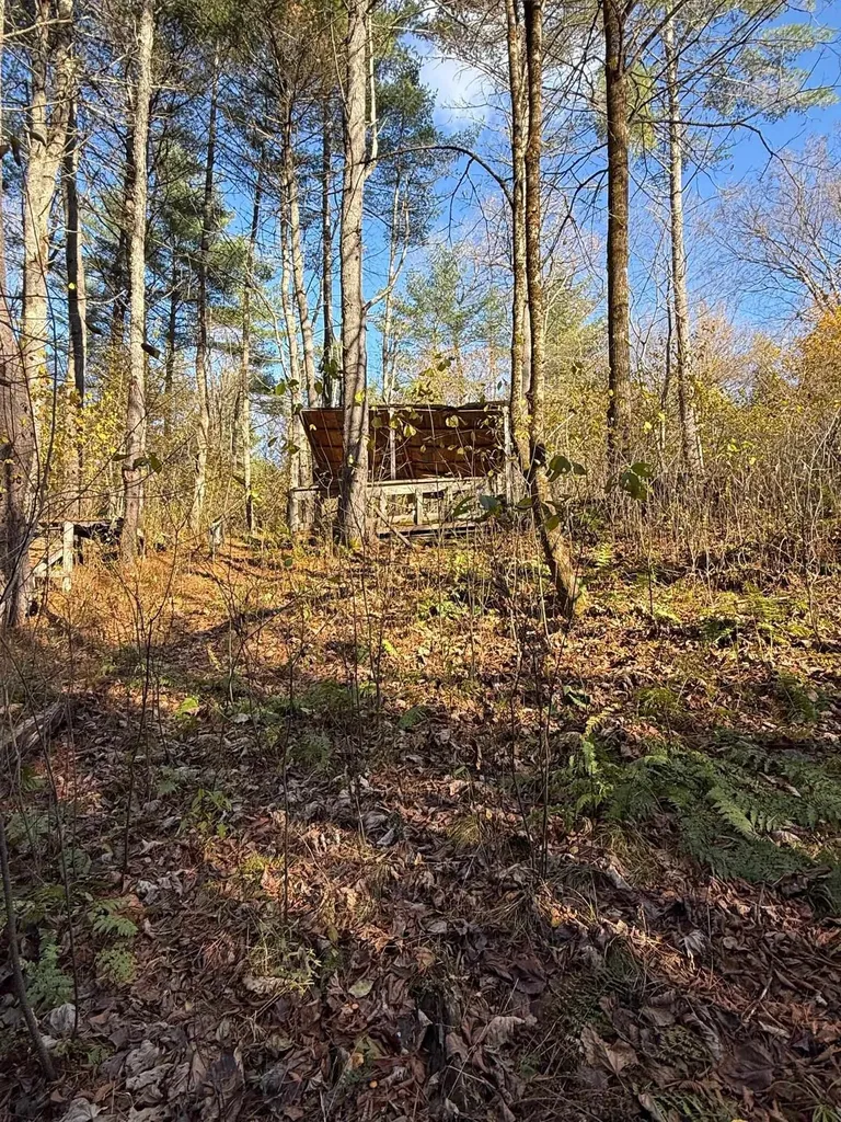 125 Hillside Avenue St. Johnsbury VT 05819