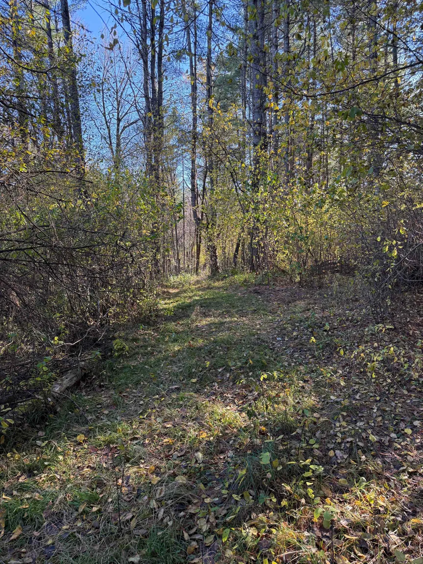 125 Hillside Avenue St. Johnsbury VT 05819