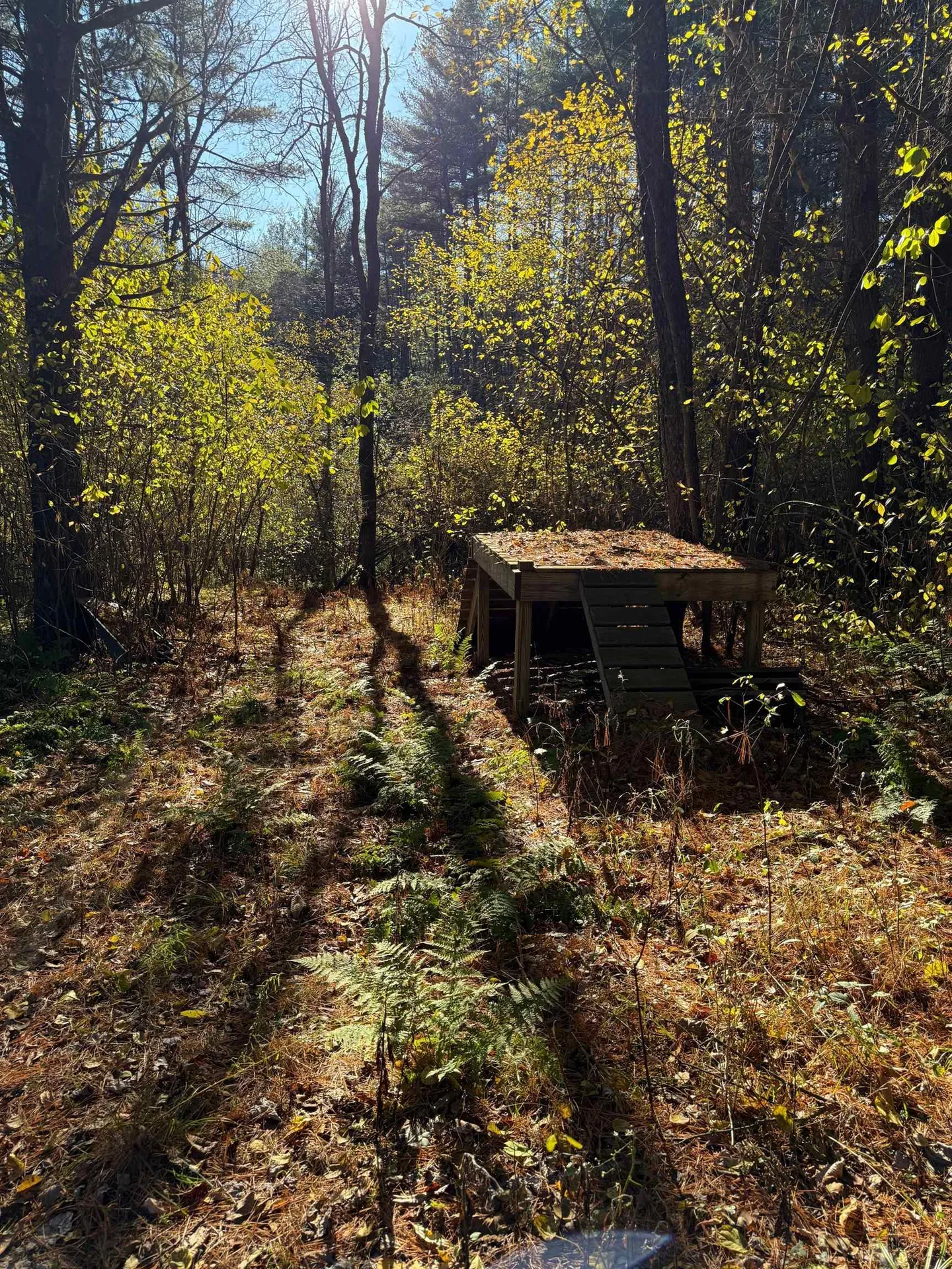 125 Hillside Avenue St. Johnsbury VT 05819