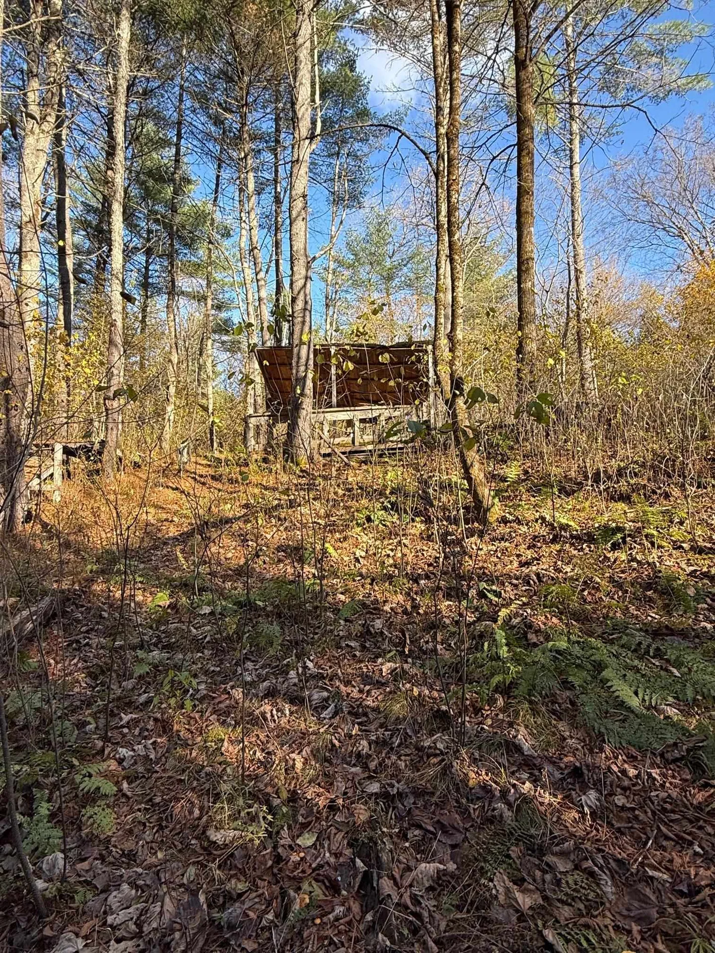 125 Hillside Avenue St. Johnsbury VT 05819