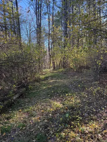 125 Hillside Avenue St. Johnsbury VT 05819