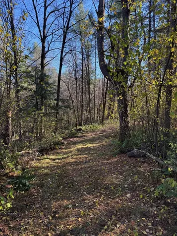 125 Hillside Avenue St. Johnsbury VT 05819