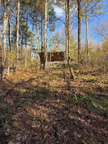 125 Hillside Avenue St. Johnsbury VT 05819