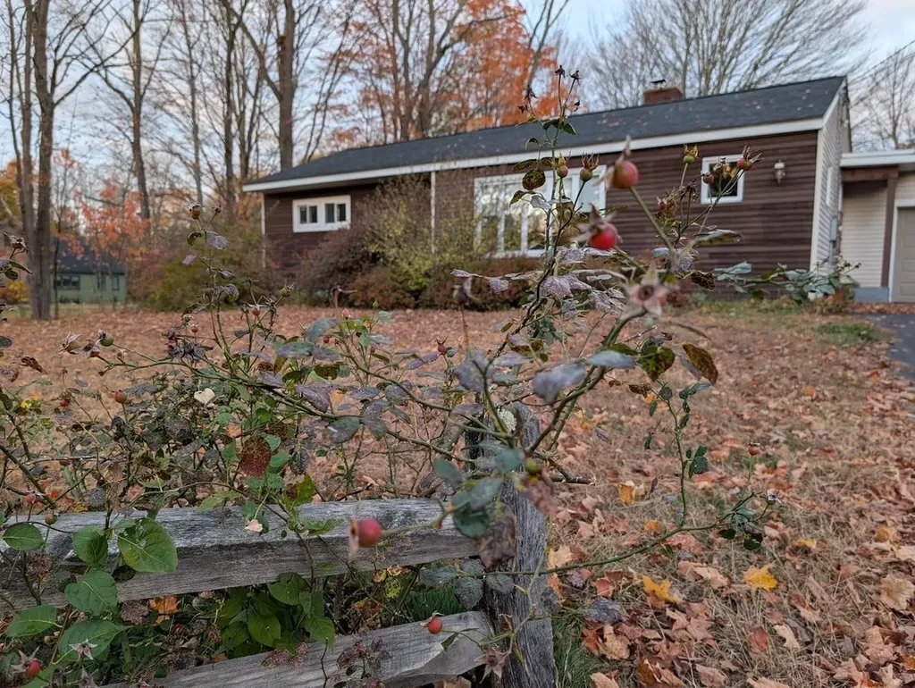 223 Maple Street Hopkinton NH 03229