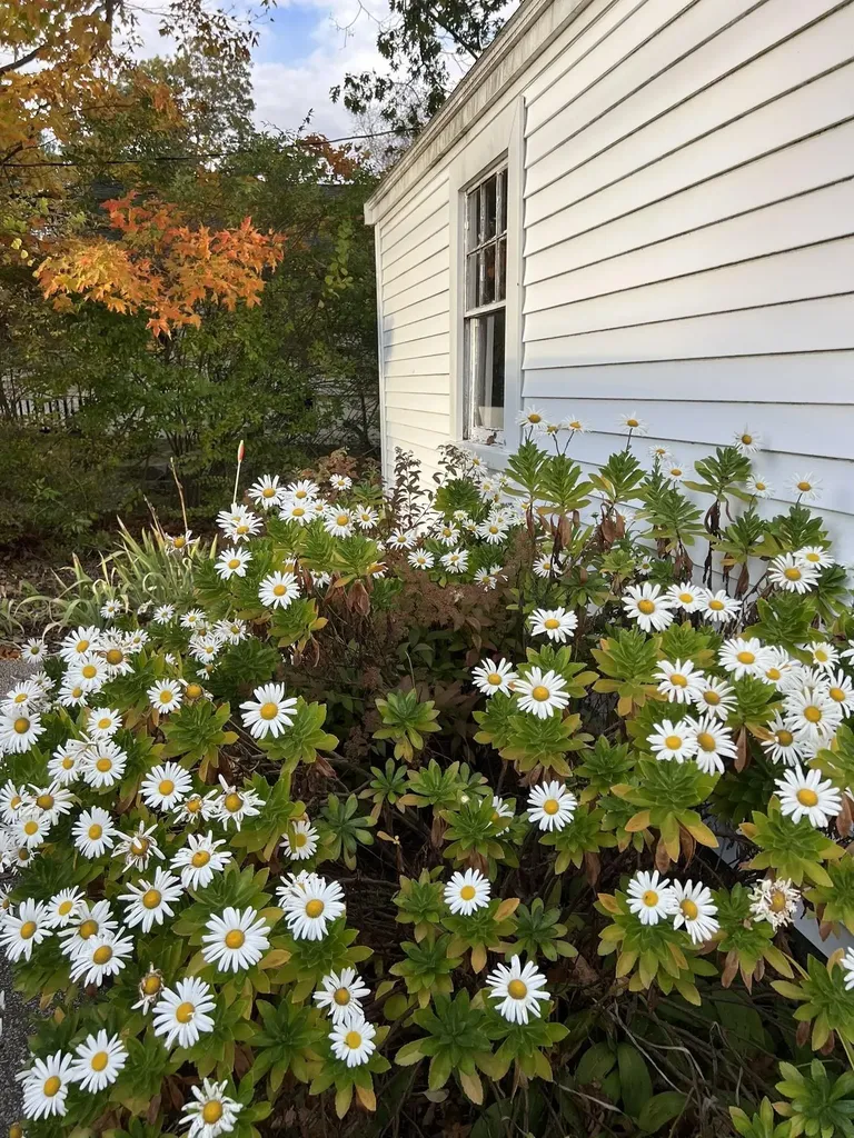 175 Wentworth Road New Castle NH 03854