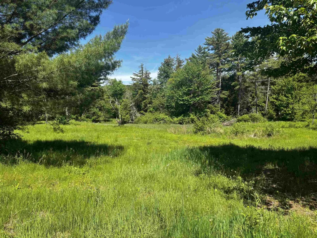 Lot 8 Stonebridge Road Wilmot NH 03287