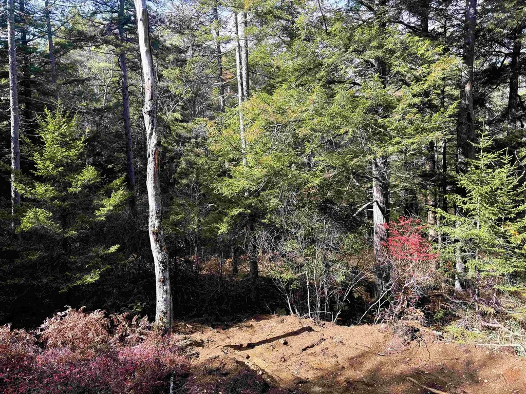 Lot 8 Stonebridge Road Wilmot NH 03287