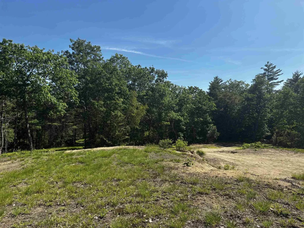 Lot 8 Stonebridge Road Wilmot NH 03287