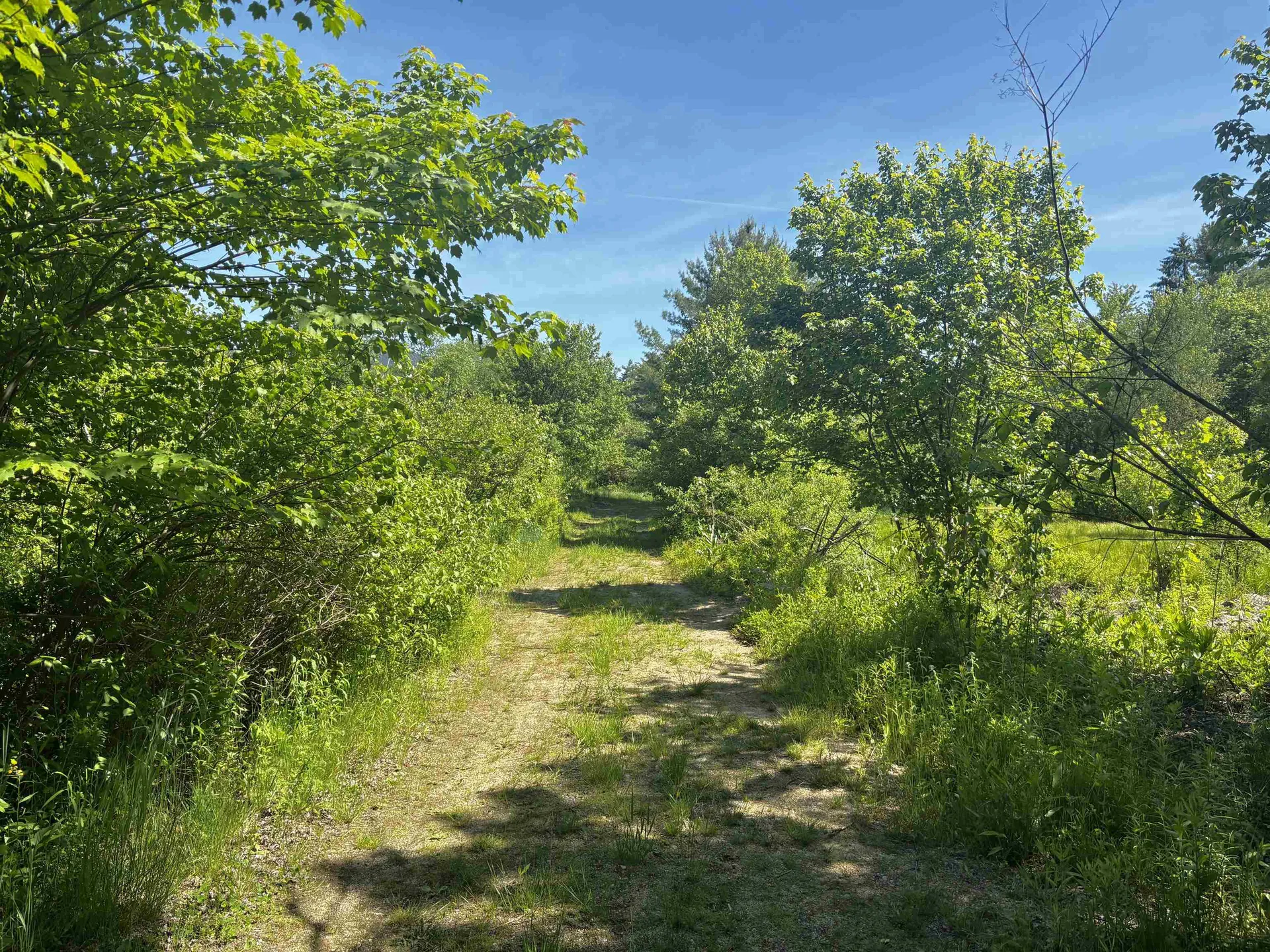 Lot 8 Stonebridge Road Wilmot NH 03287