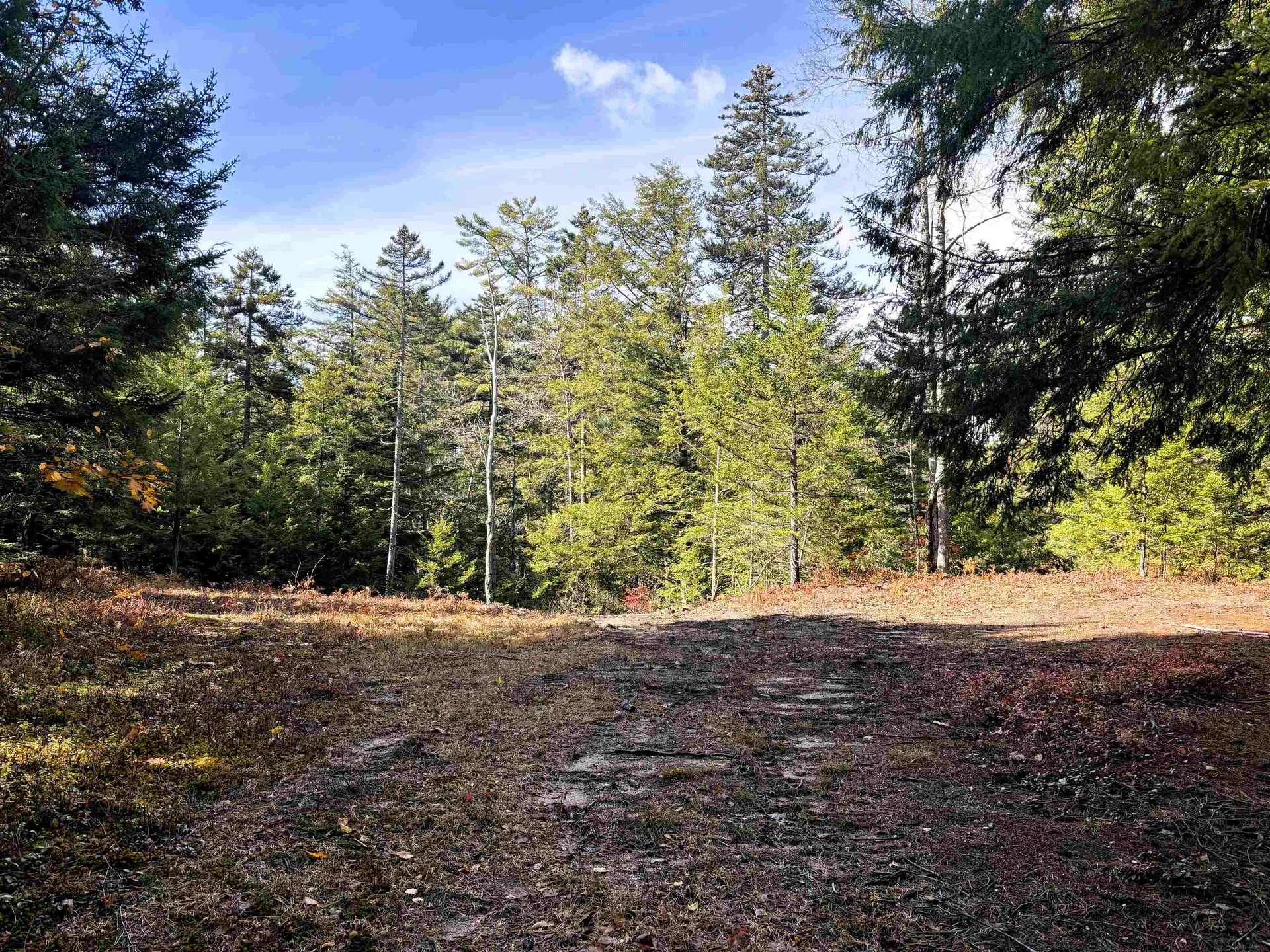 Lot 8 Stonebridge Road Wilmot NH 03287