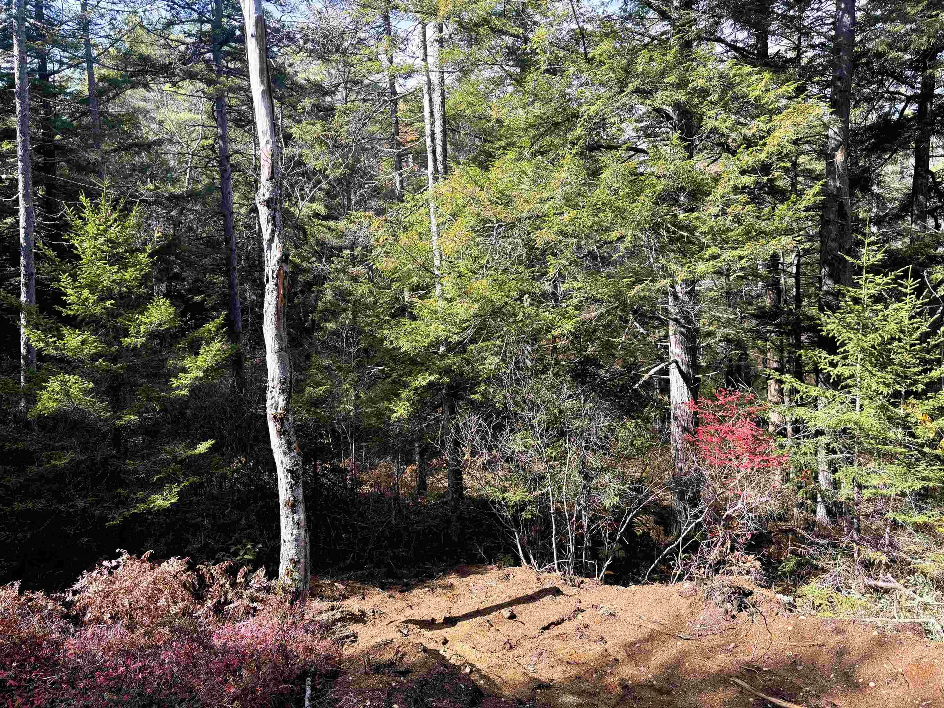 Lot 8 Stonebridge Road Wilmot NH 03287