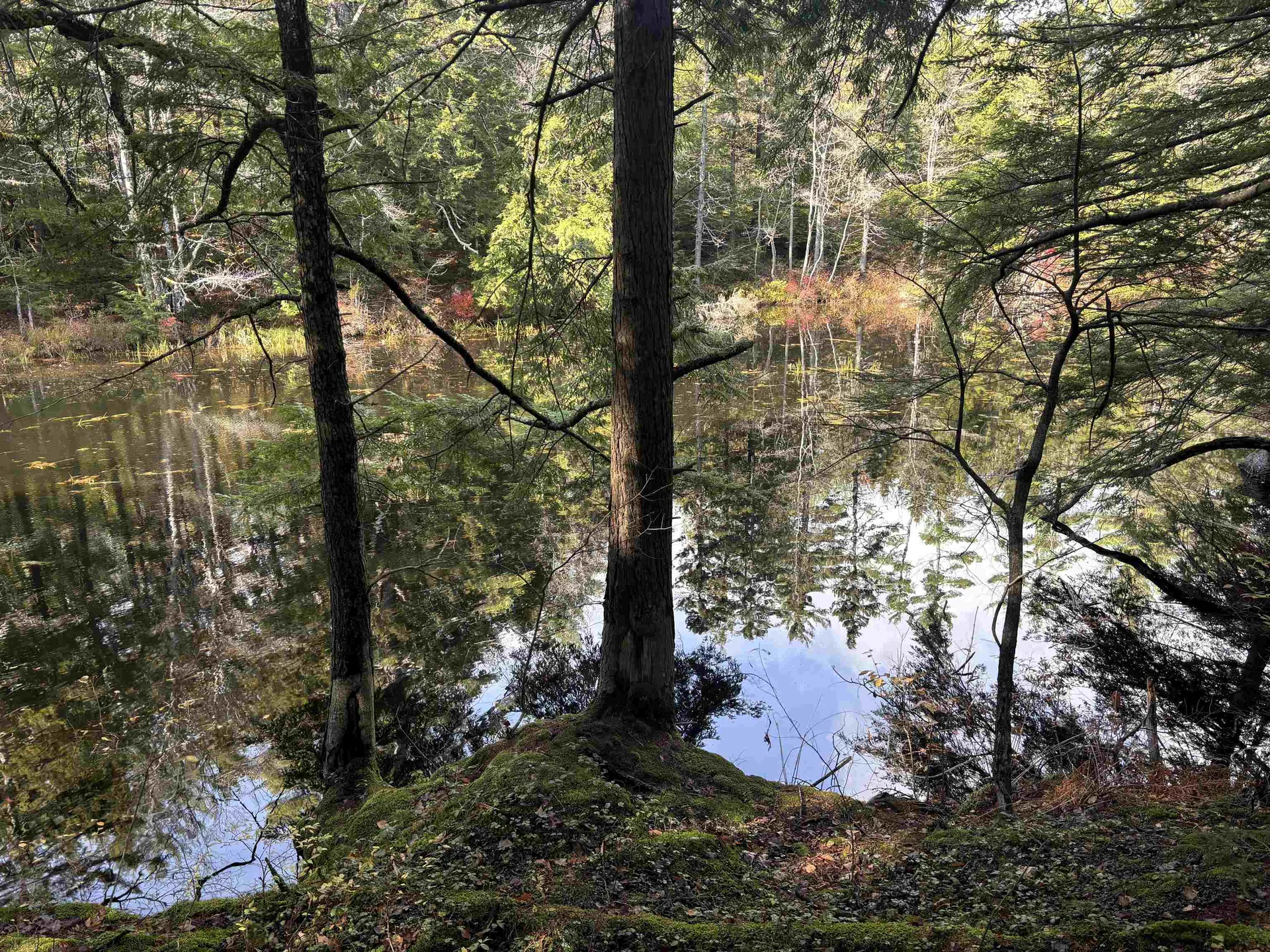 Lot 8 Stonebridge Road Wilmot NH 03287