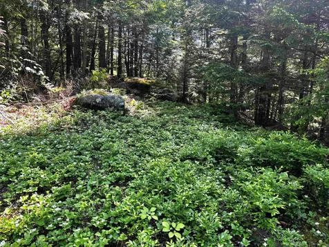 Lot 8 Stonebridge Road Wilmot NH 03287