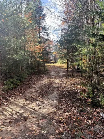 Lot 8 Stonebridge Road Wilmot NH 03287