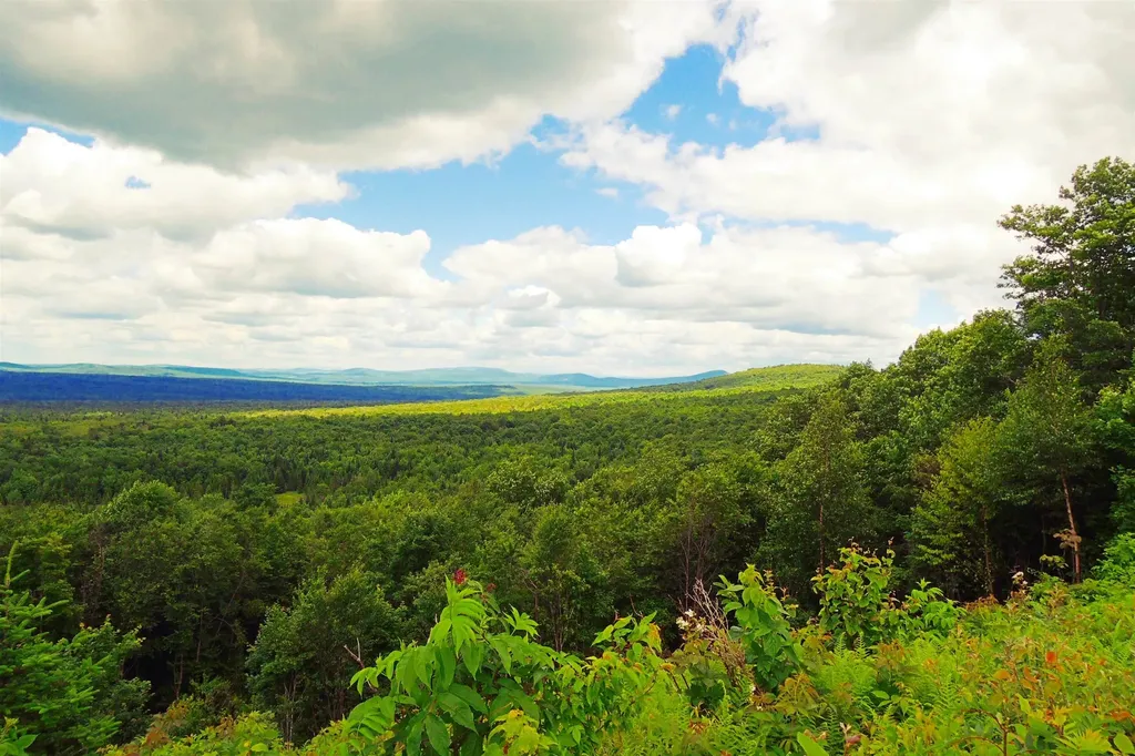 3383 I.p. Road Morgan VT 05853