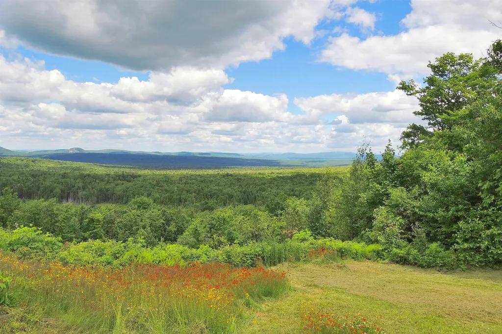 3383 I.p. Road Morgan VT 05853