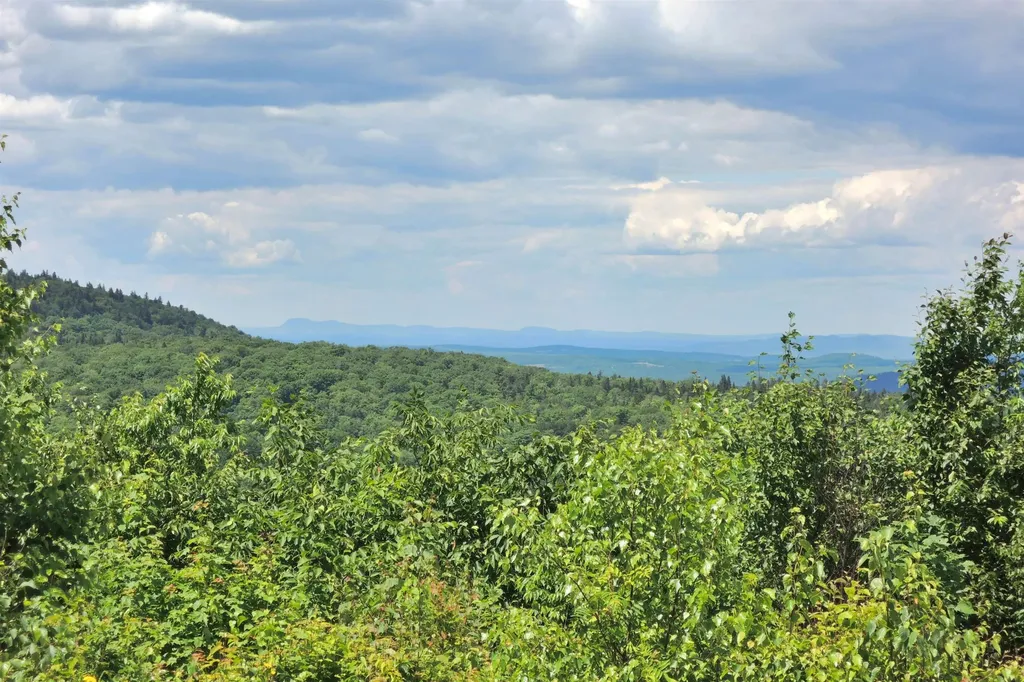 3383 I.p. Road Morgan VT 05853