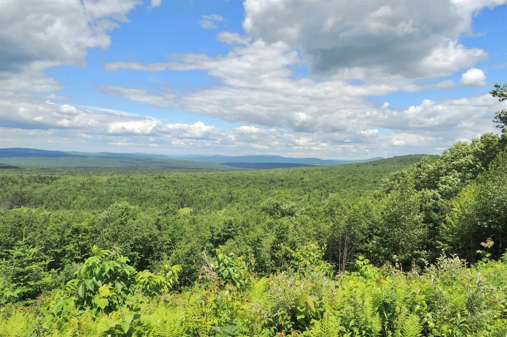 3383 I.p. Road Morgan VT 05853