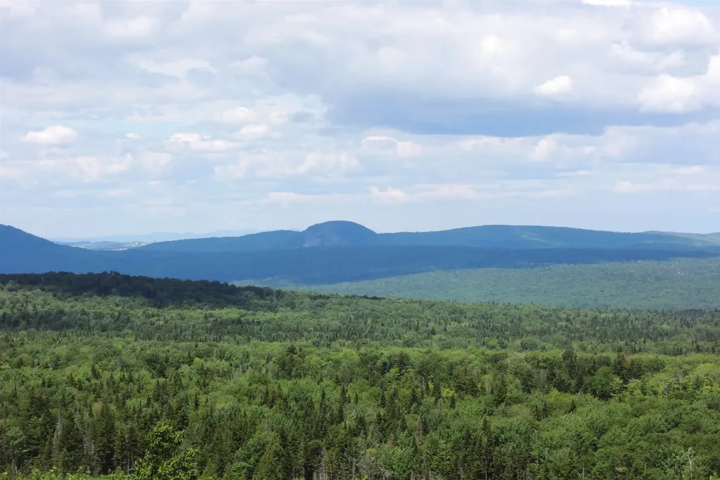 3383 I.p. Road Morgan VT 05853