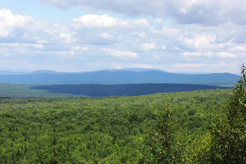 3383 I.p. Road Morgan VT 05853