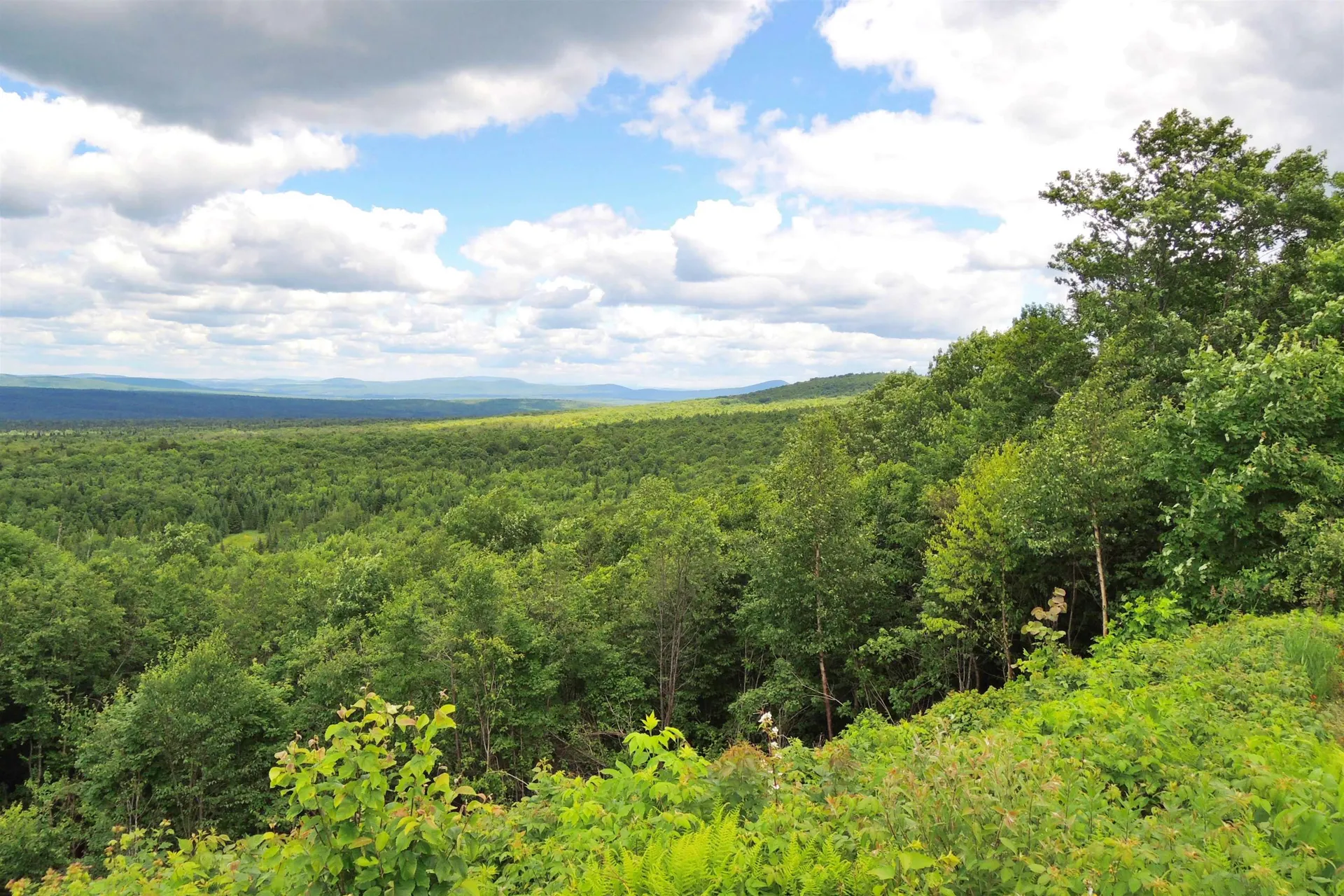 3383 I.p. Road Morgan VT 05853