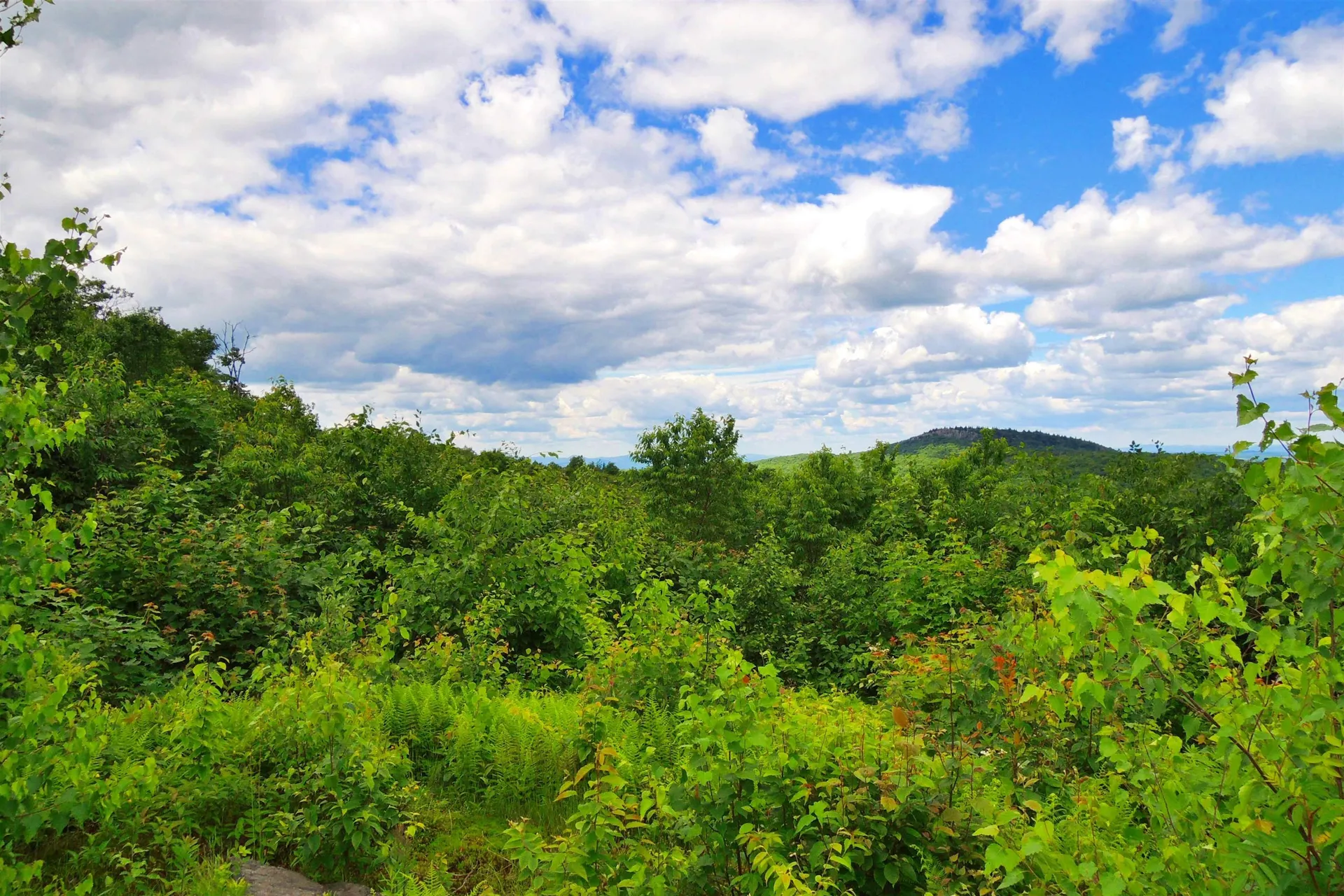 3383 I.p. Road Morgan VT 05853