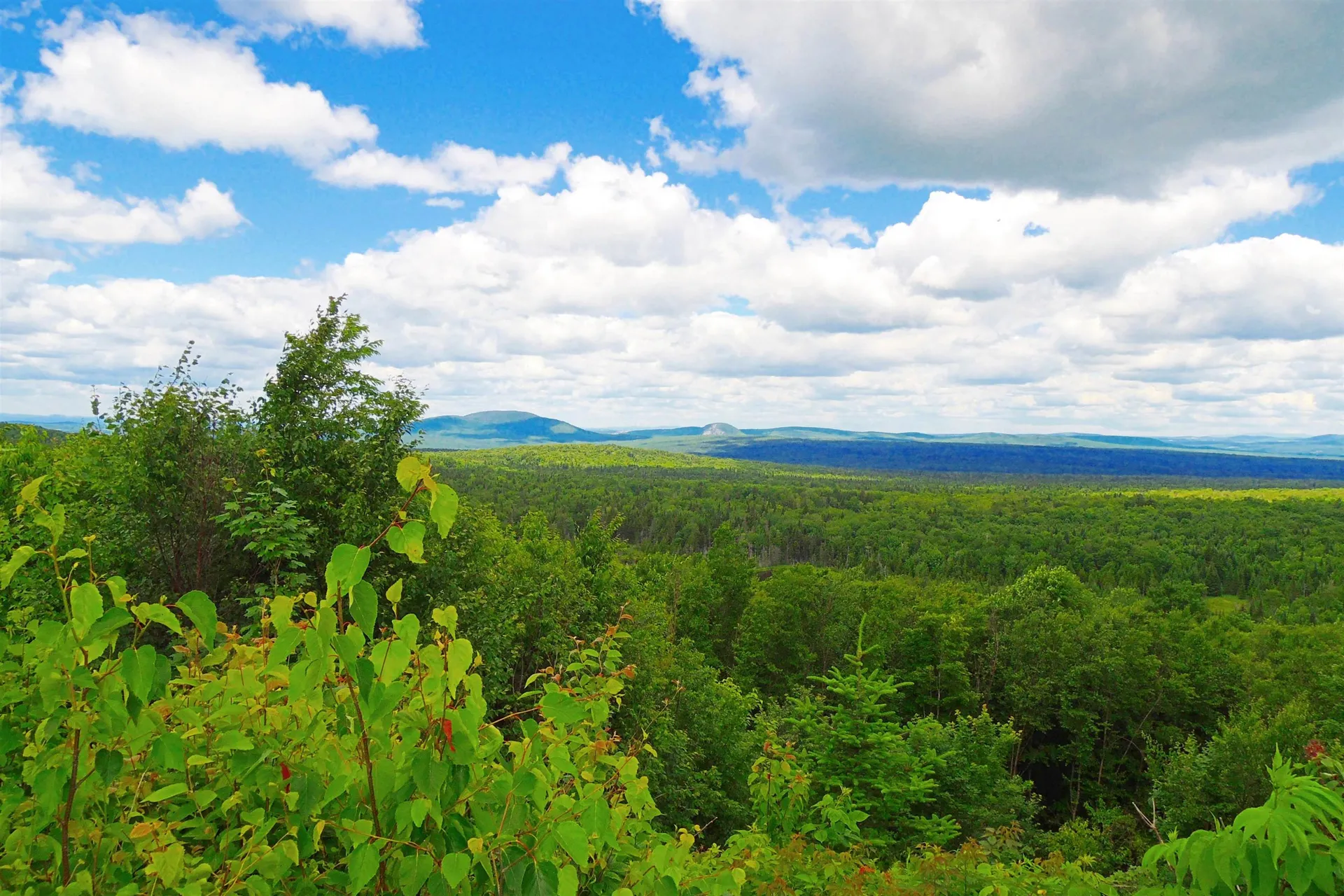 3383 I.p. Road Morgan VT 05853